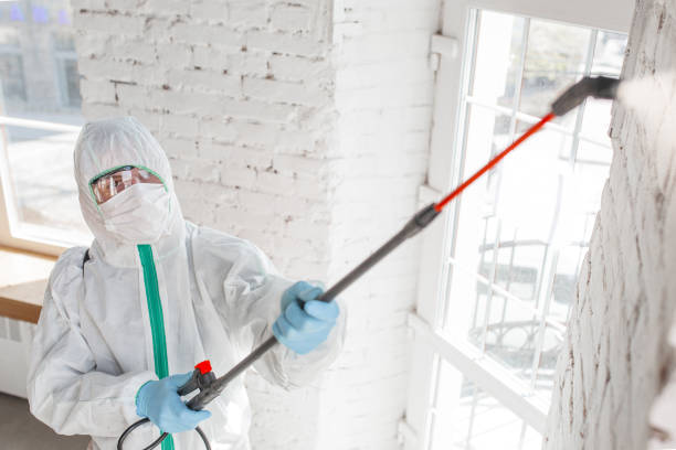 Best Emergency Mold Remediation  in Porcupine, SD