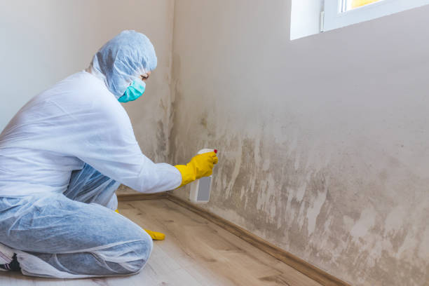 Best Industrial Mold Remediation  in Porcupine, SD