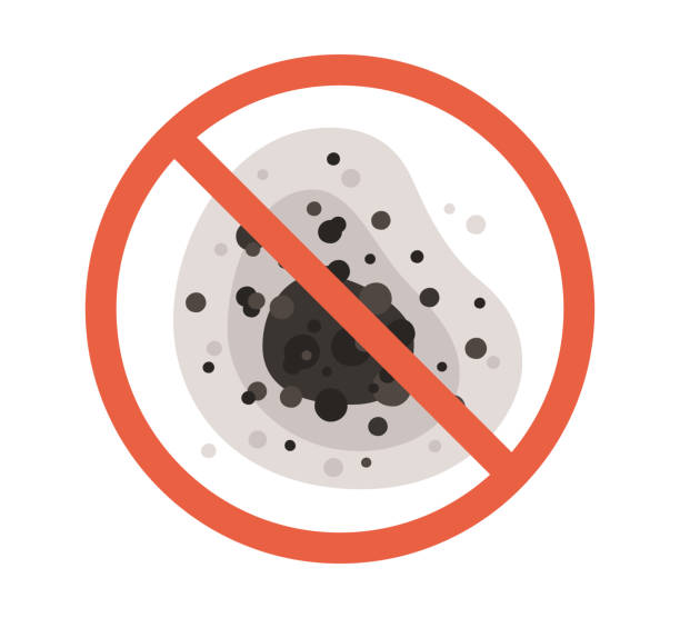 Best Mold Odor Removal Services  in Porcupine, SD