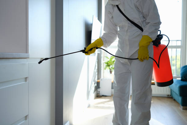 Best Real Estate Mold Inspection  in Porcupine, SD