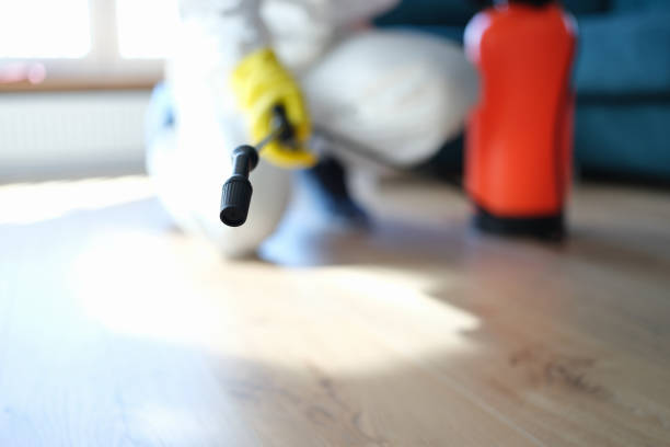 Best Airborne Mold Testing  in Porcupine, SD