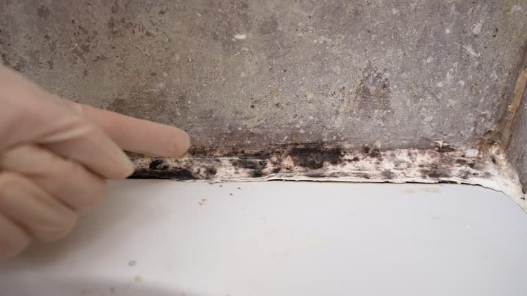 Best HVAC Mold Inspection and Cleaning  in Porcupine, SD